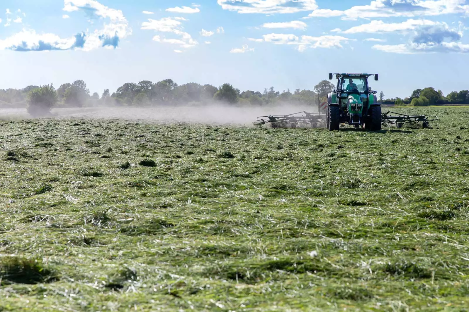 Hofeigenes Pferdefutter unter Dach, in der Scheune, aus der eigenen Futterproduktion.