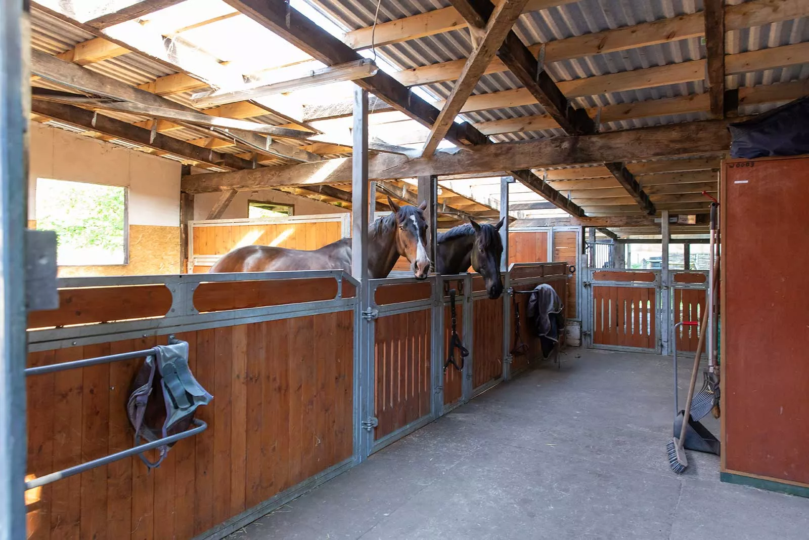 Pferdepension - Stallgang mit freien und belegten Boxen für Einsteller sowie Pensionsbetrieb