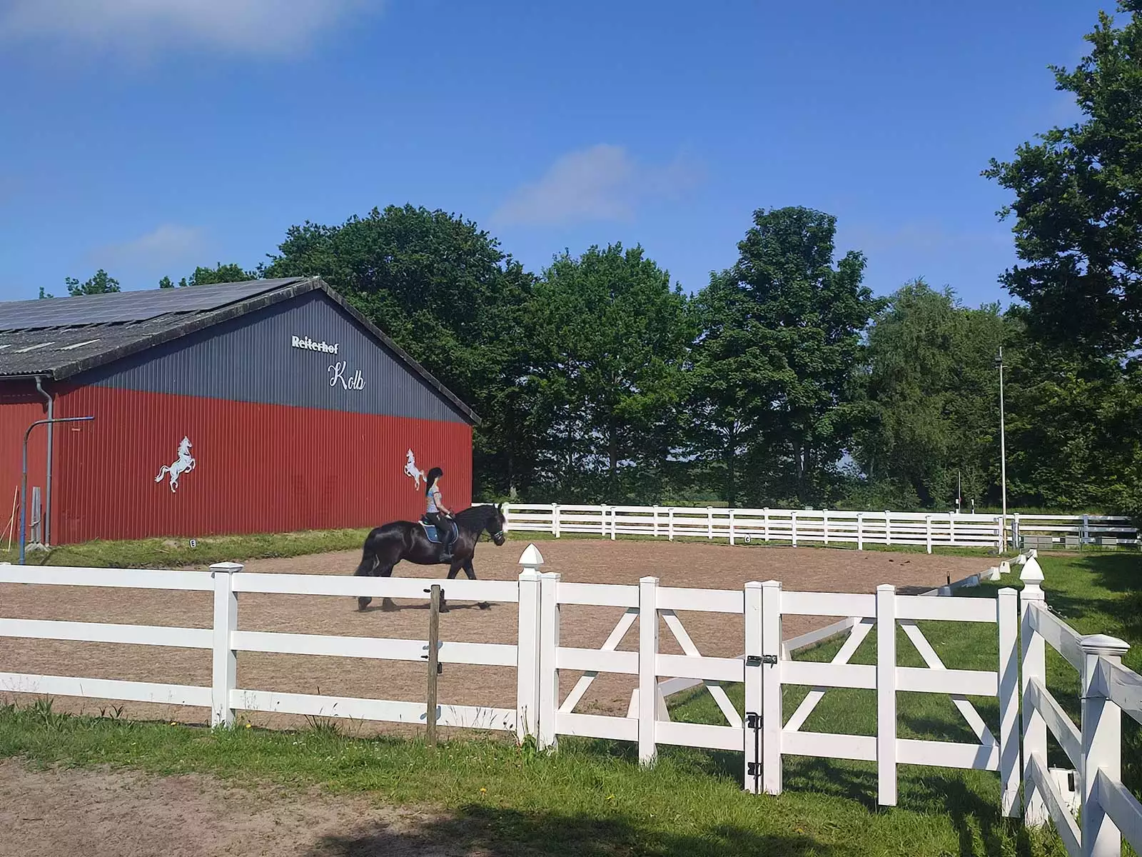 Reiterin auf einem Friesen, auf dem Reitplatz des Reiterhofes