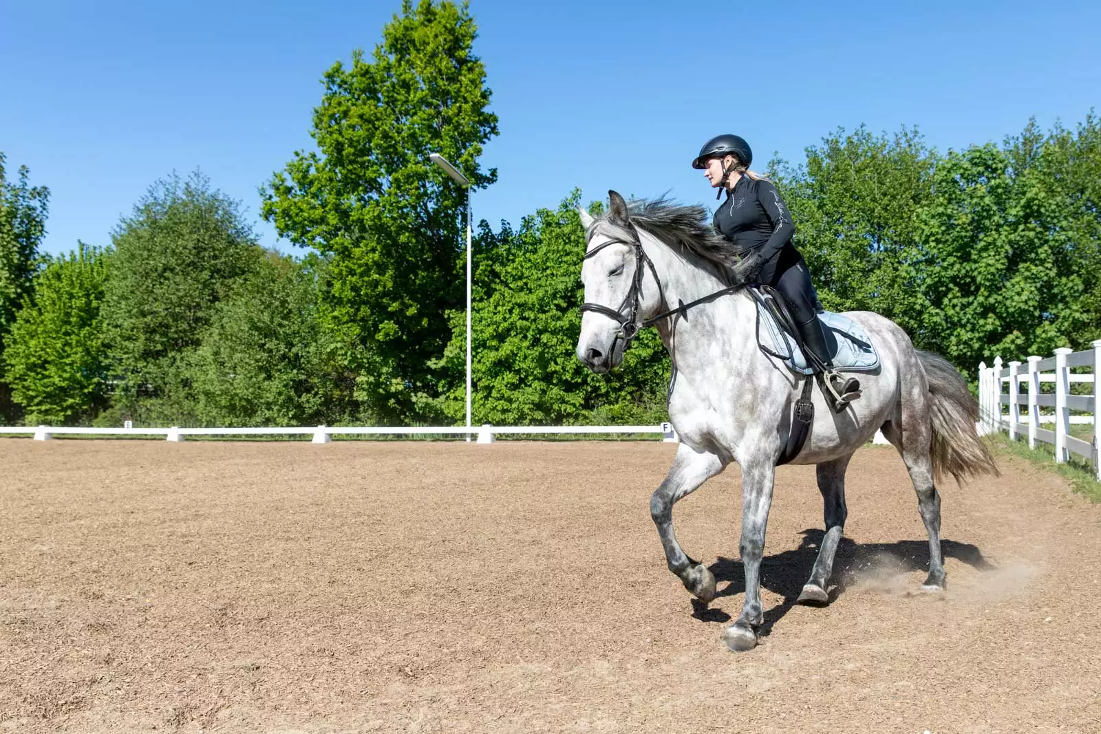 Reitunterricht auf dem Reitplatz: hier kannst du reiten lernen - ein Unterricht für Kinder und Erwachsene