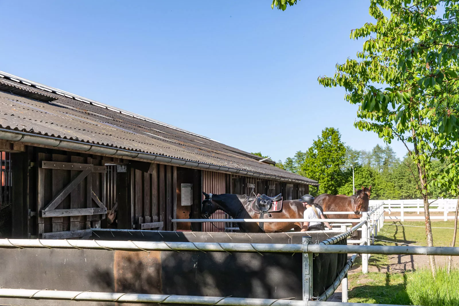 Pferdepension: Paddocks