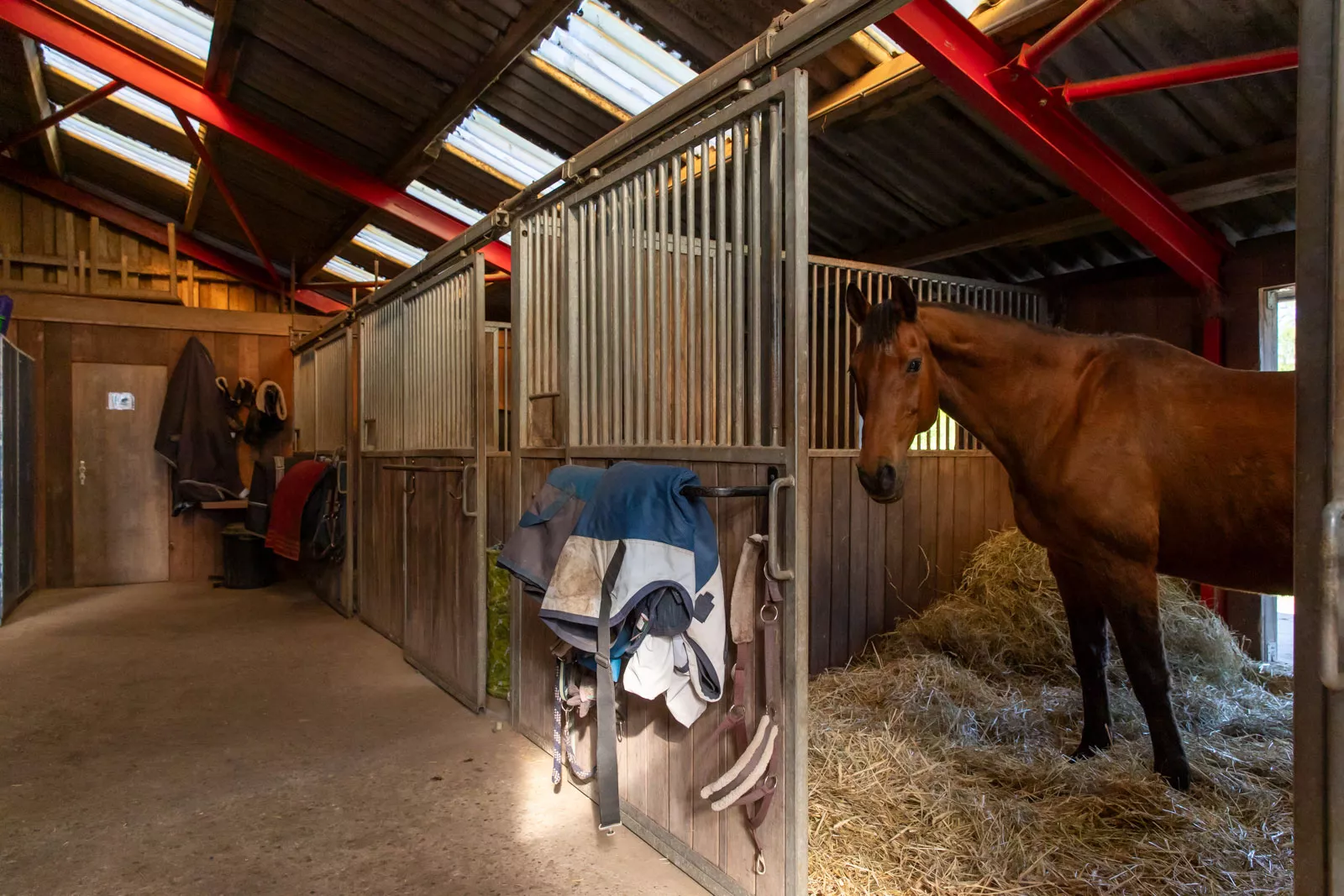 Pferdepension: Stallgang mit Pferdeboxen