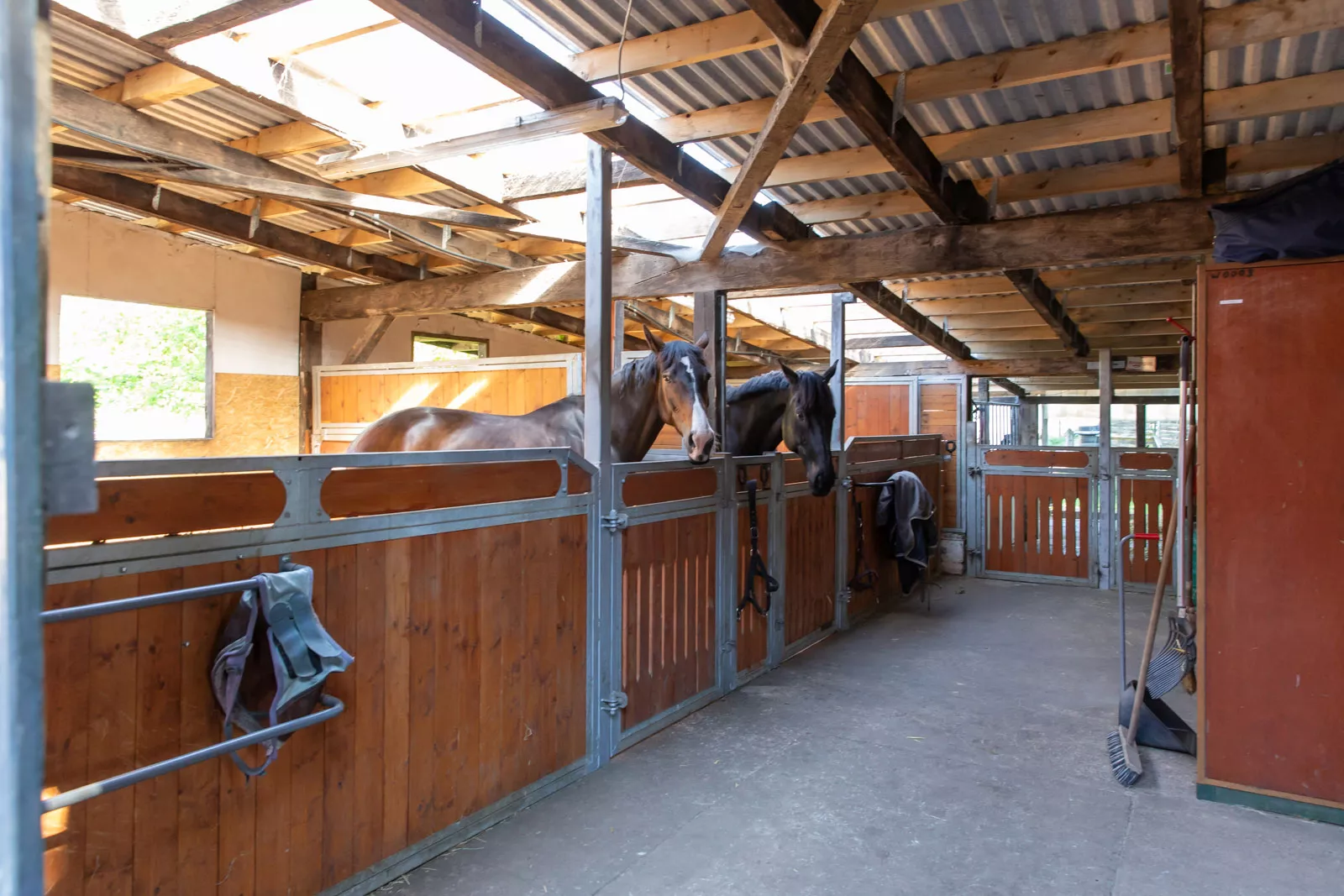 Auf dem Reiterhof Pferde einstellen: freie Pferdeboxen in Schleswig-Holstein