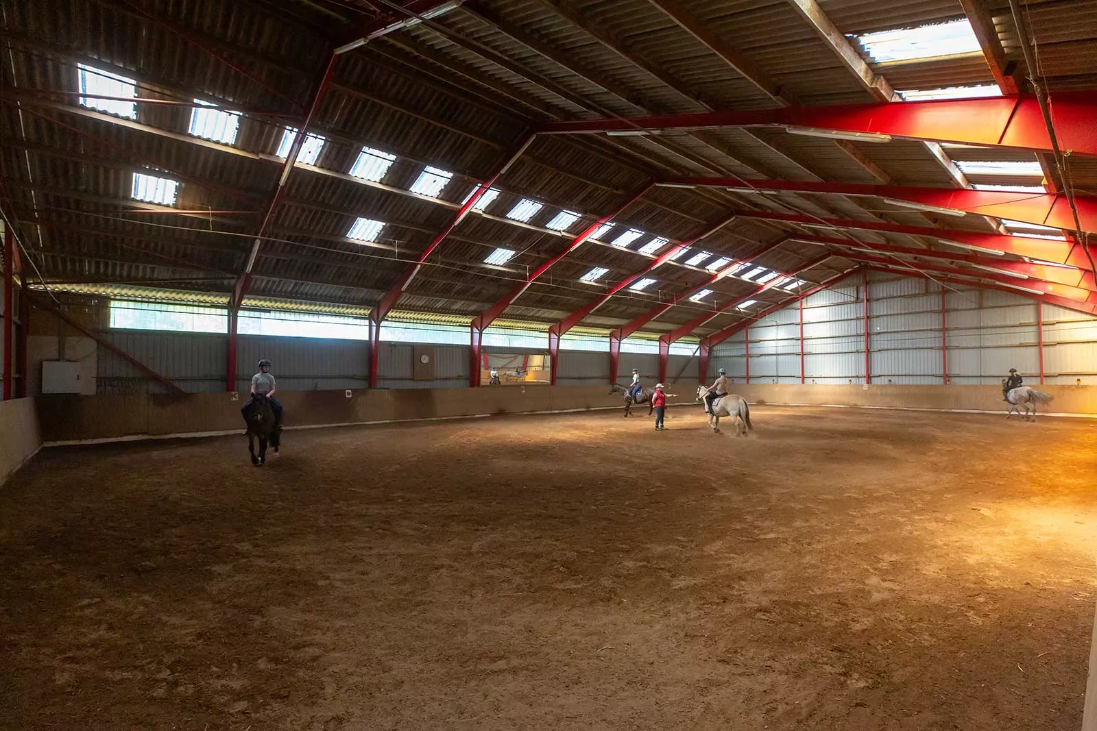 Reitunterricht oder Training für Pferd und Reiter in der Reithalle