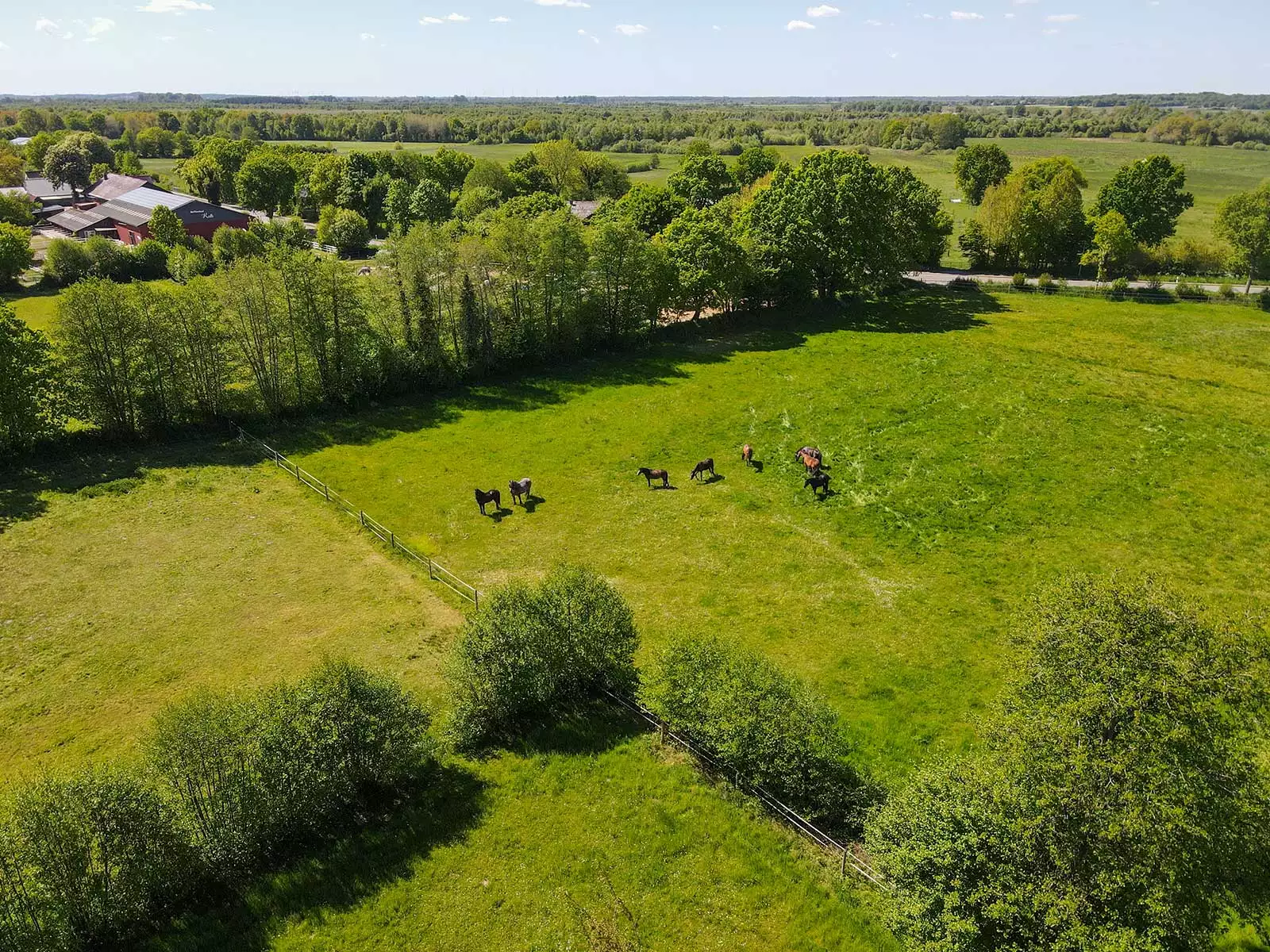 Sommerweiden am Reiterhof