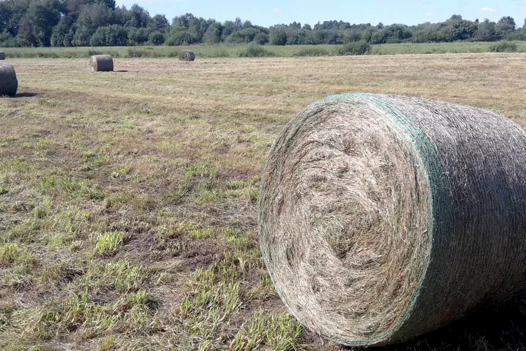 Futterernte - Heu und Heulage