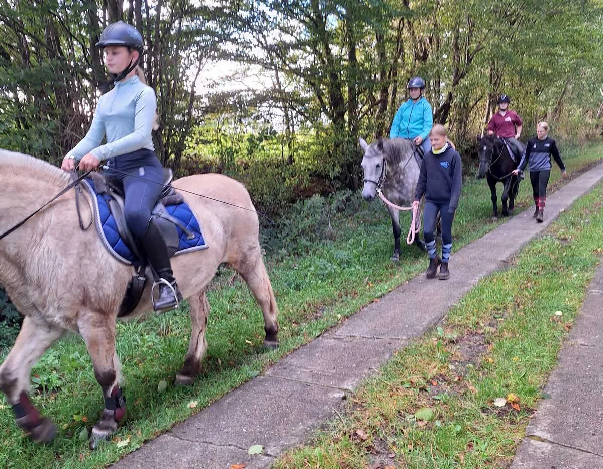 Ausreiten - geführte Ponygruppen