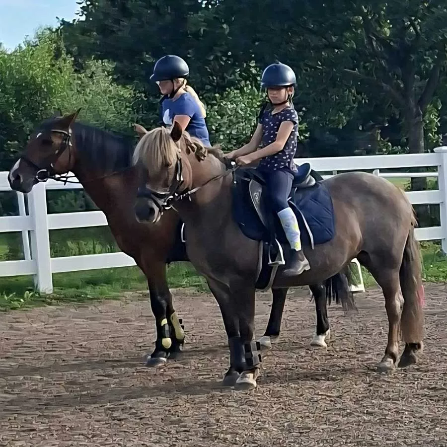 Reitunterricht für Kinder