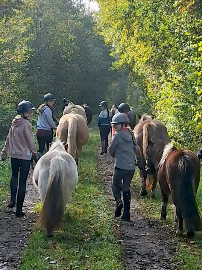 Ausreiten - ein Highlight bei unserem Ausreitgelände