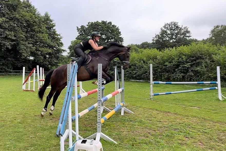 Reitunterricht: Springreiten auf dem Springplatz