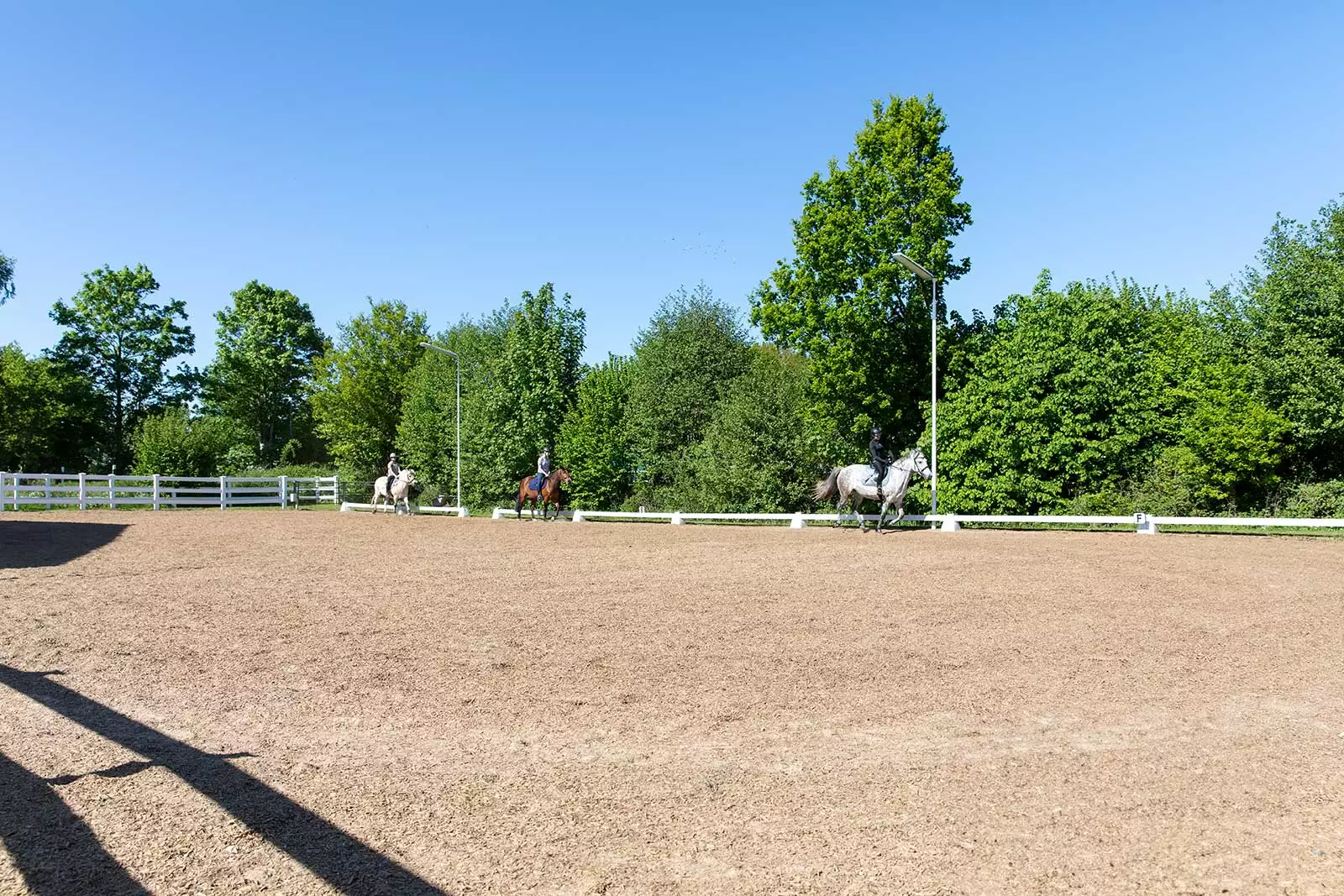 Reitunterricht für Erwachsene auf dem Reiterhof Kolb